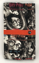 Load image into Gallery viewer, Needle Case (Double Row) - Made with Harry Potter Book Covers
